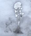 LS Bilodeau stainless steel rose, stainless steel rose, tripod stainless rose, Valentines Day gift, LS Bilodeau stainless steel flower