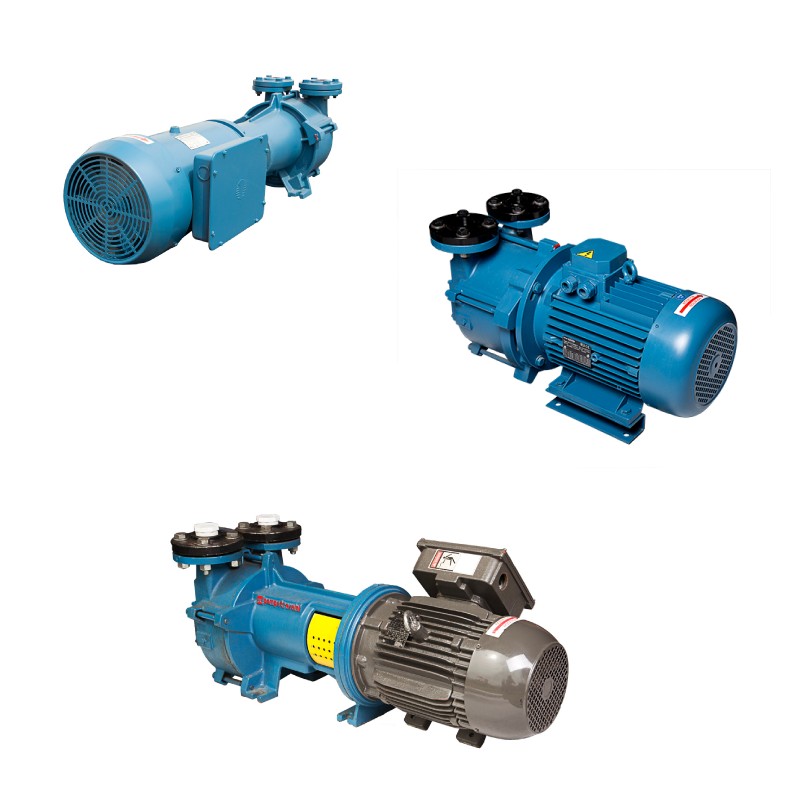 Travaini Vacuum Pumps liquid rings | LS Bilodeau