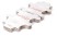 Disassembled maple syrup can carrier, side view disassembled can carrier side view, handled cardboard box, maple syrup packaging, case panels, side angle