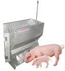 Tremie-abreuvoir porcs